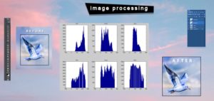 outsource image processing