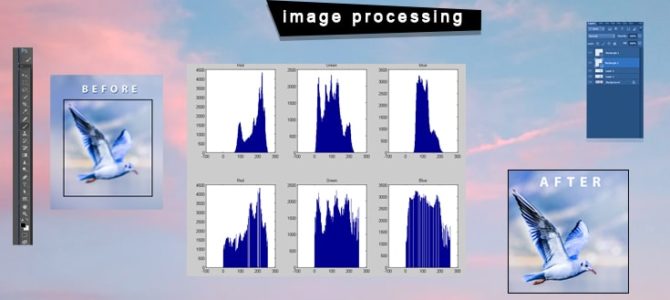 7 Tactics to Outsource Image Processing Service in Business