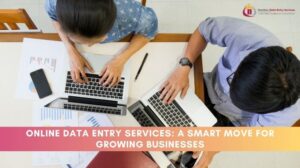Online Data Entry Service
