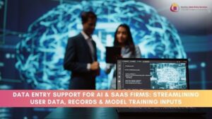 Data Entry Support for AI and SaaS Firms